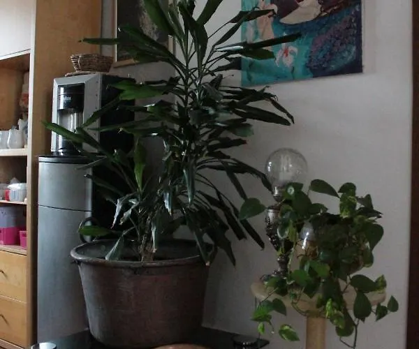 Le Ruote Bed & Breakfast 3*